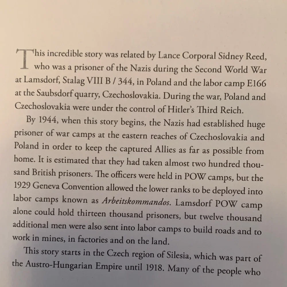 The Prisoner's Wife by Maggie Brookes - Elegant Blue Cover Book - Picture 5 of 8